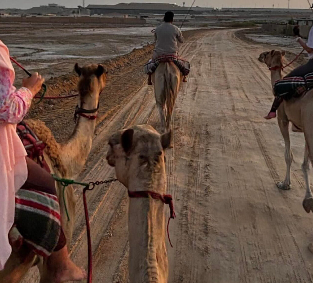 Camel Riding Lesson Experience in the City Abu Dhabi