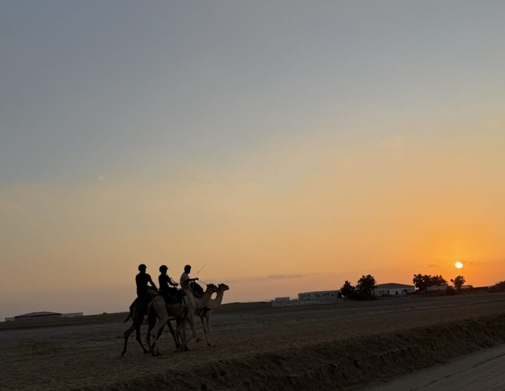 Healing in the Camel Saddle