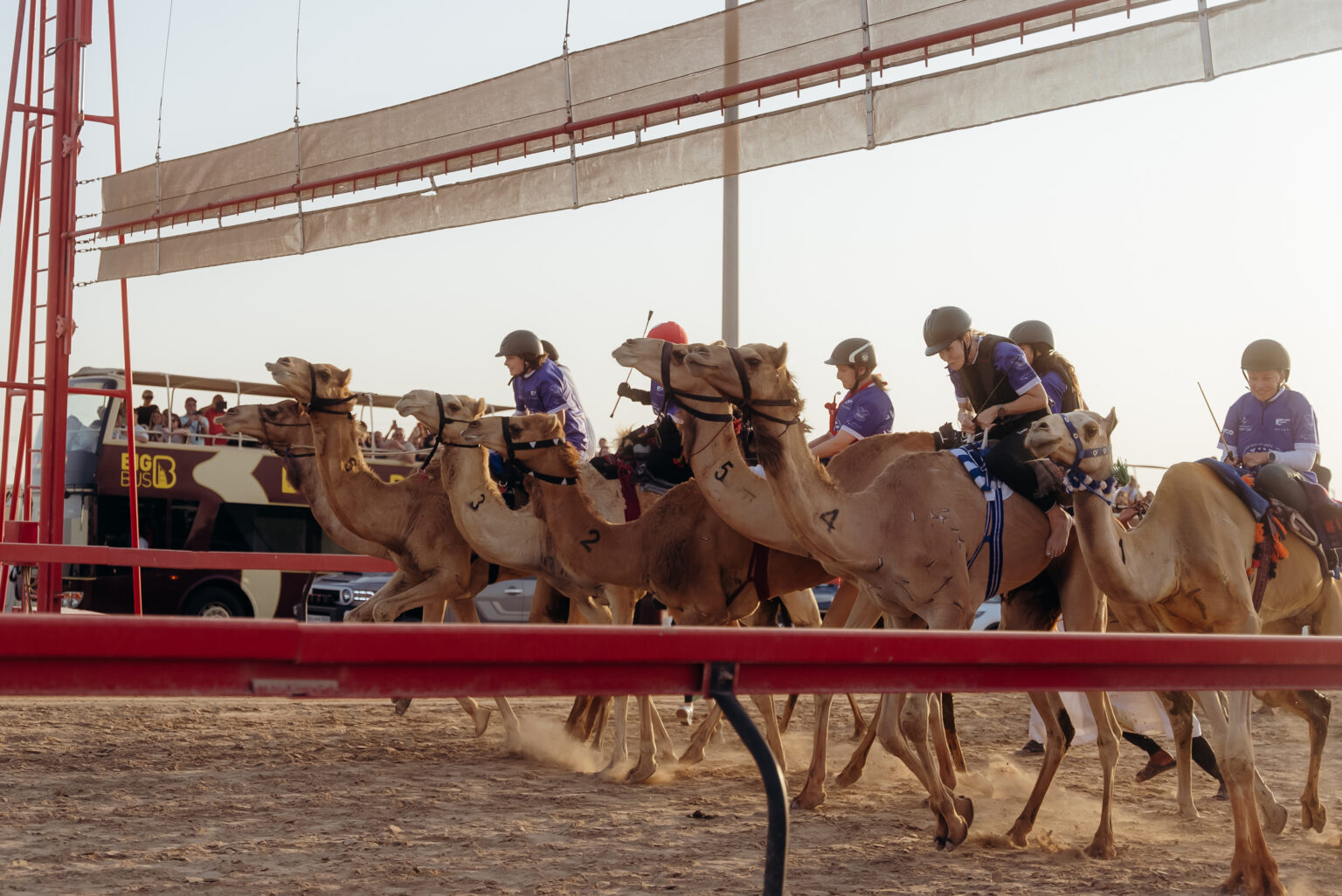 Camel Racing Featured at Asian Youth & Islamic Solidarity Games
