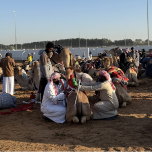 Screenshot 2026-01-28 at 7.29.51 AM